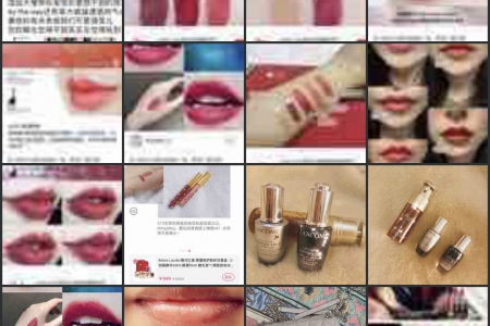 偽劣化妝品銷毀